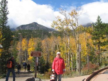 Aspen yellow leafs