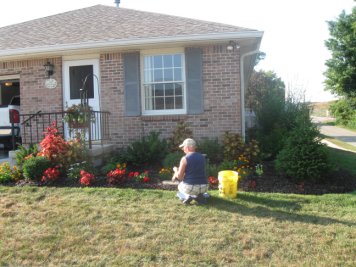 working garden