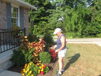 Joyce's flower garden